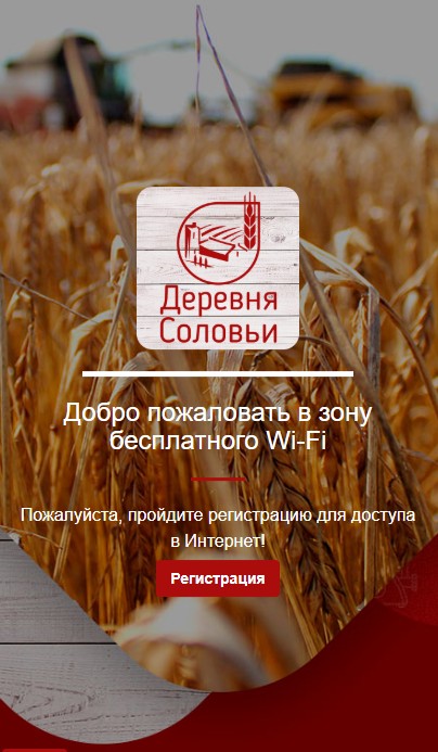 Бесплатный Wi-Fi в магазинах сети «Деревня Соловьи»